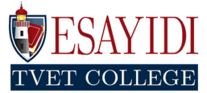 Esayidi TVET College Distance Learning Application