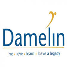 Damelin Application status