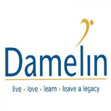 Damelin Application Form