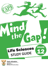 Mind the Gap Study Guide for Grade 12