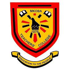 Mkoba Teachers College Courses