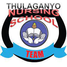 Thulaganyo Nursing School Prospectus 