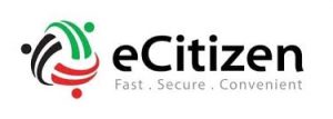 How To Change eCitizen Password