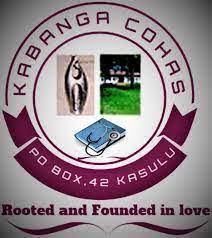 Kabanga School of Nursing Courses