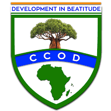  College for Community and Organizational Development -CCOD Scholarship for Students